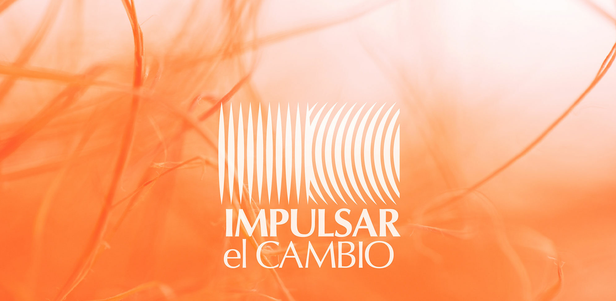 Logotip d'impulsar el cambio amb fons taronja